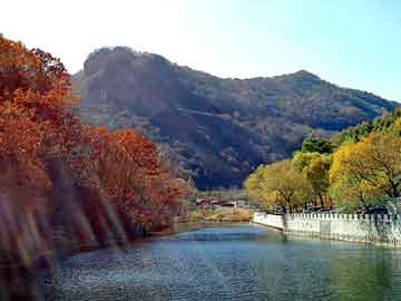 澳门天天好好免费资料，大叶女贞产地